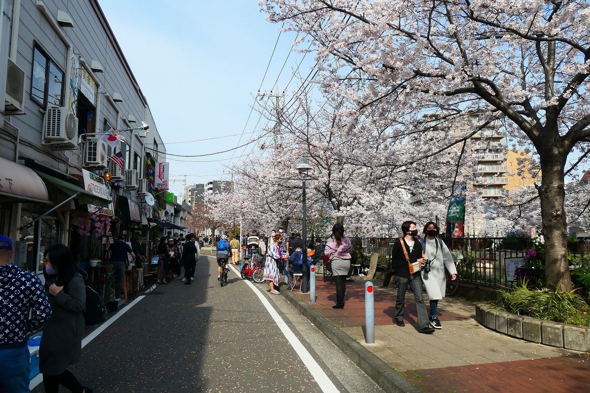 f:id:nekomitsudo:20210329000014j:plain