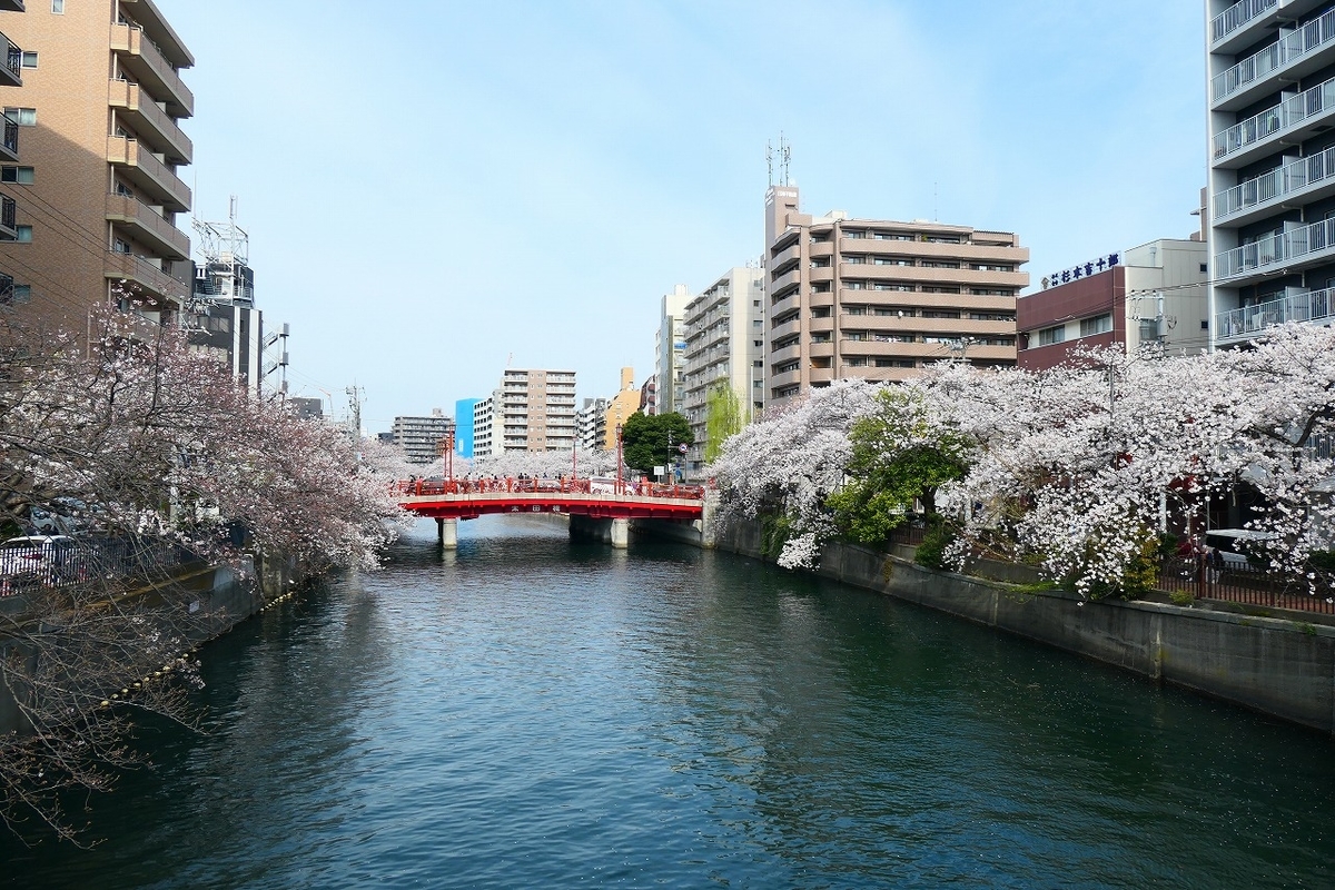 f:id:nekomitsudo:20210329000028j:plain