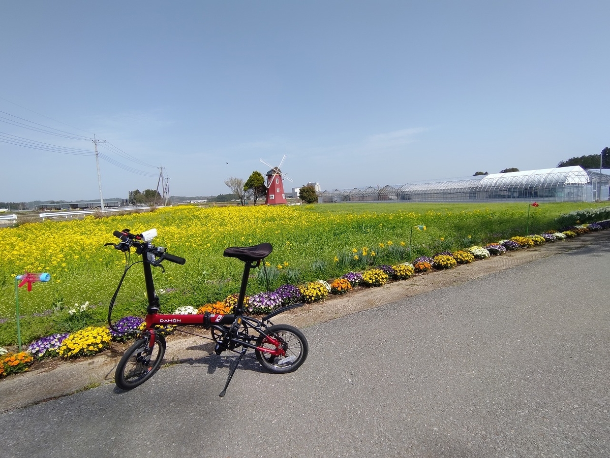 f:id:nekomitsudo:20210403222155j:plain