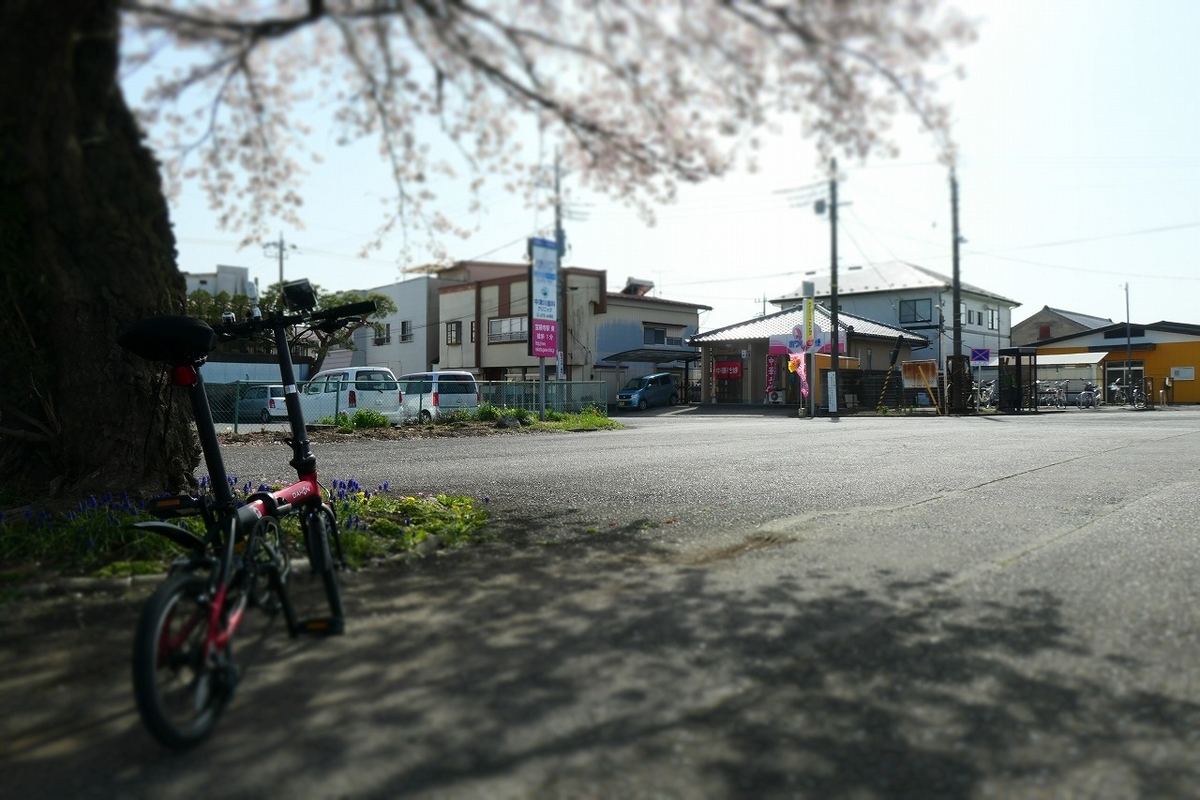 f:id:nekomitsudo:20210403222425j:plain