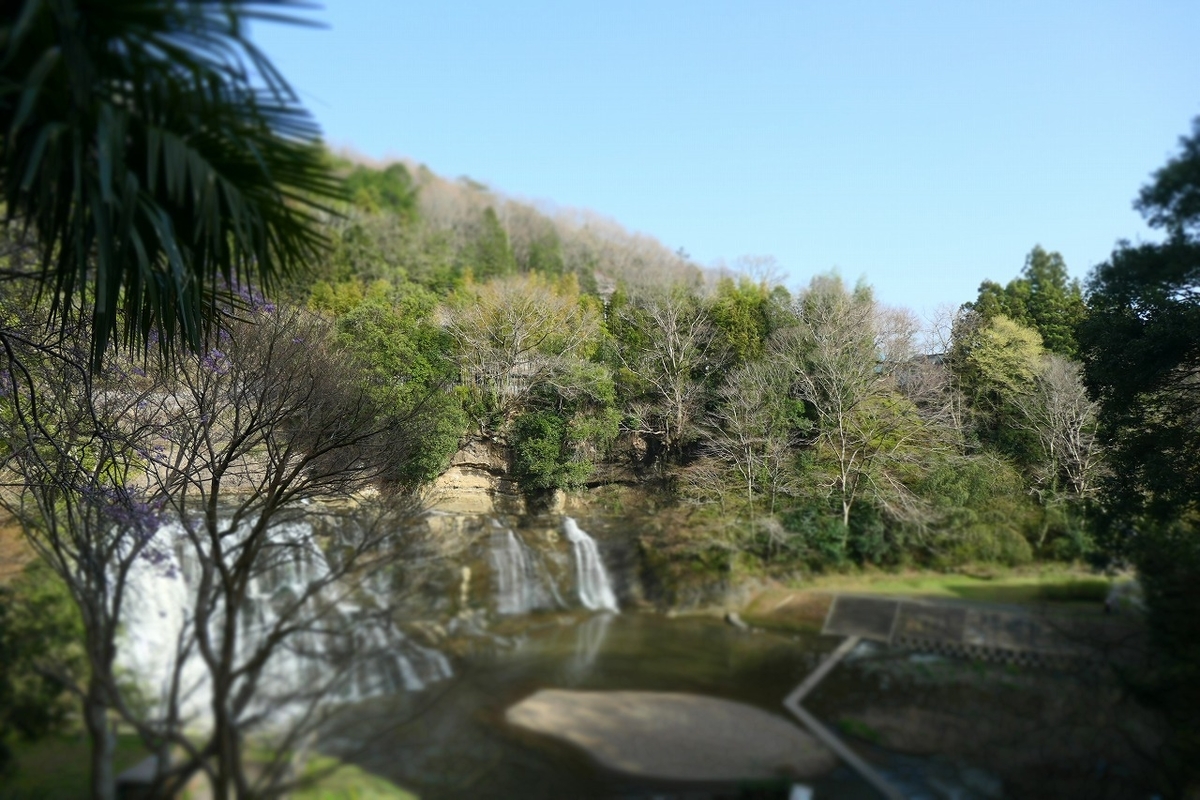 f:id:nekomitsudo:20210403222835j:plain
