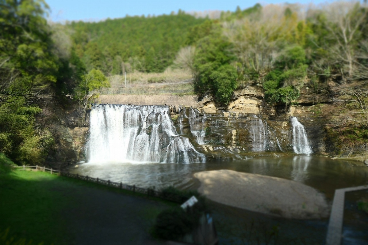 f:id:nekomitsudo:20210403222839j:plain