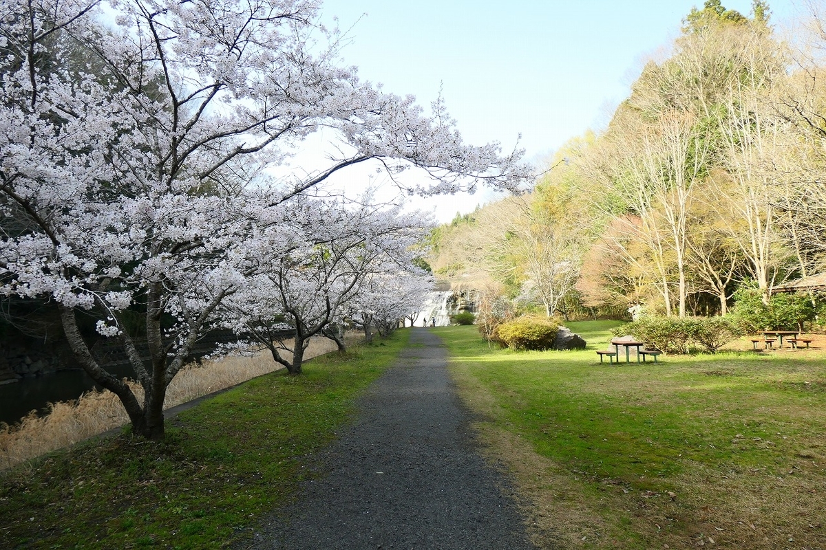 f:id:nekomitsudo:20210403222843j:plain