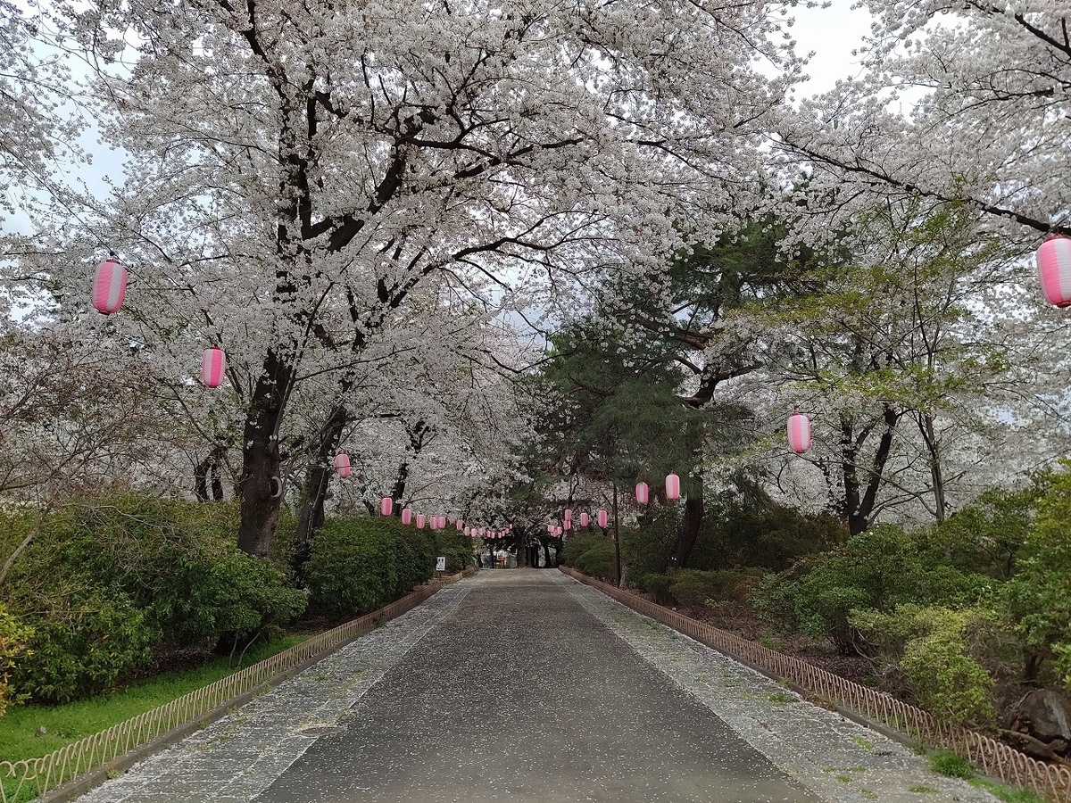 f:id:nekomitsudo:20210403235438j:plain