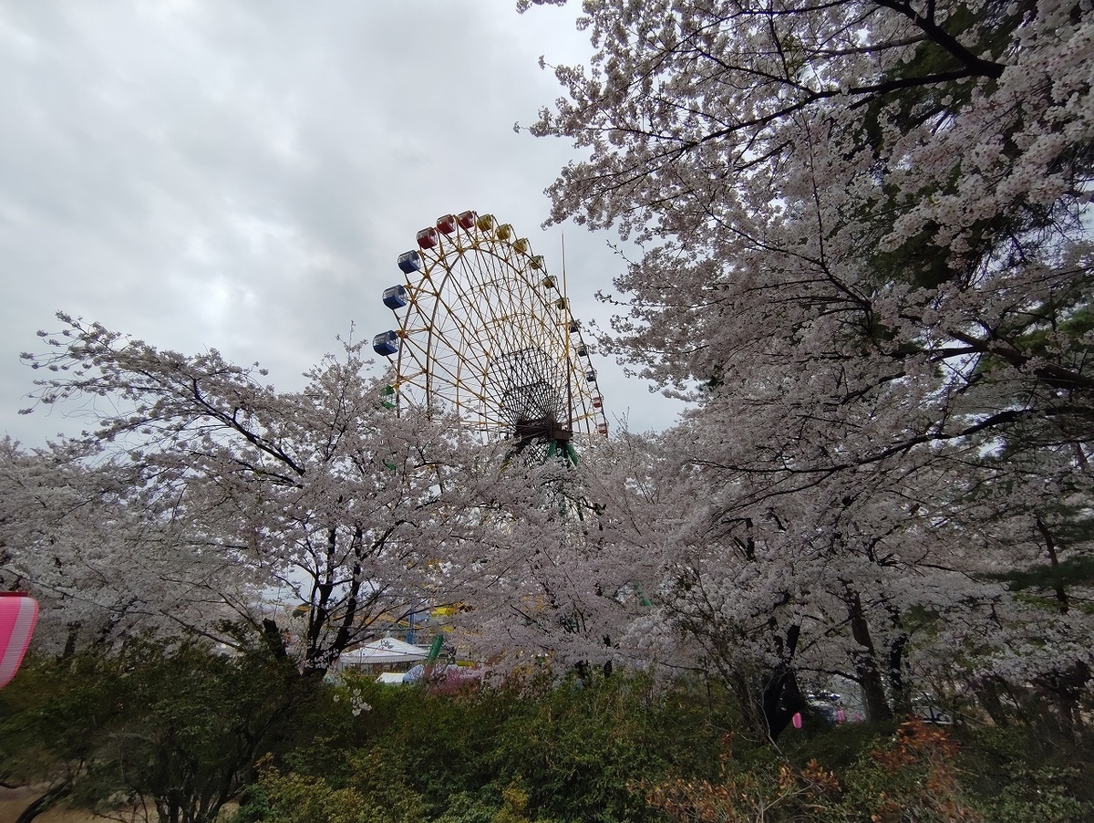 f:id:nekomitsudo:20210403235442j:plain
