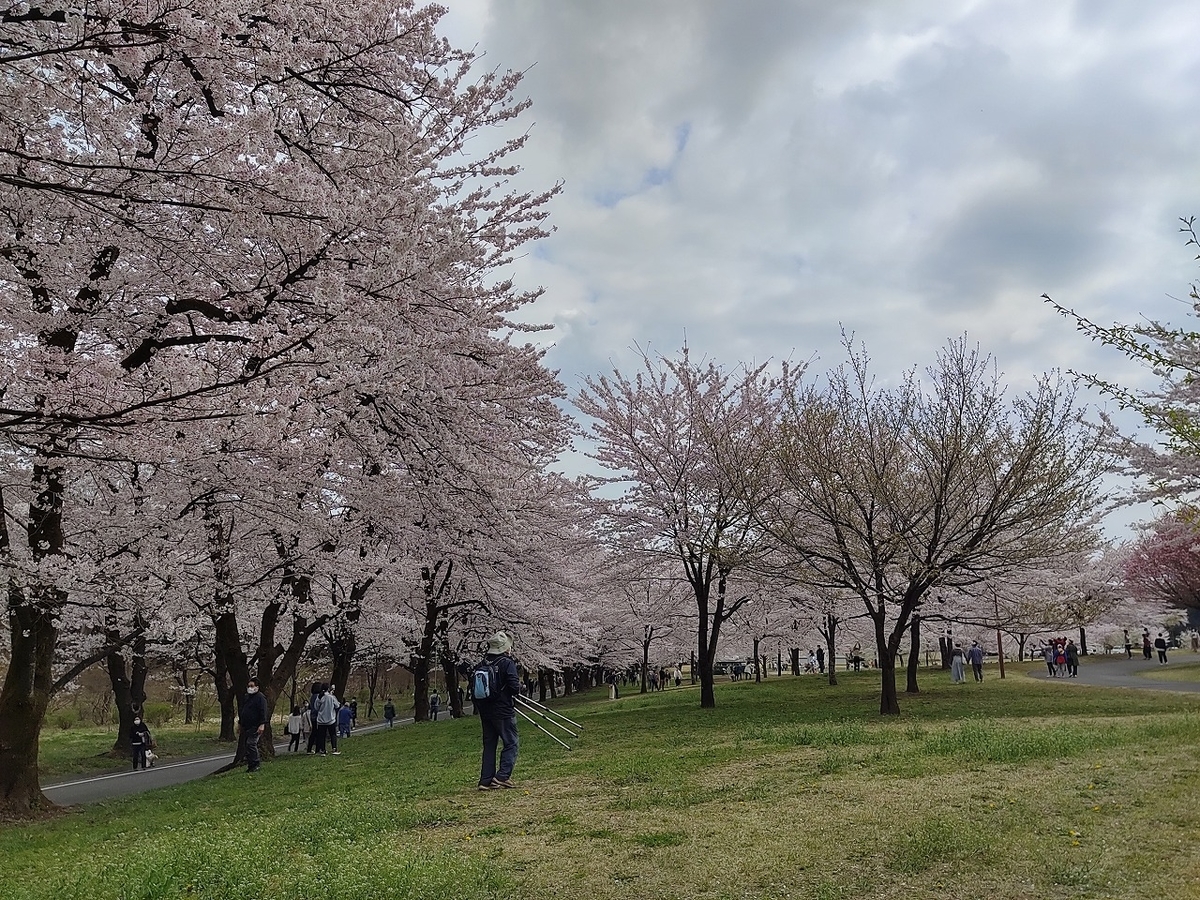 f:id:nekomitsudo:20210403235825j:plain