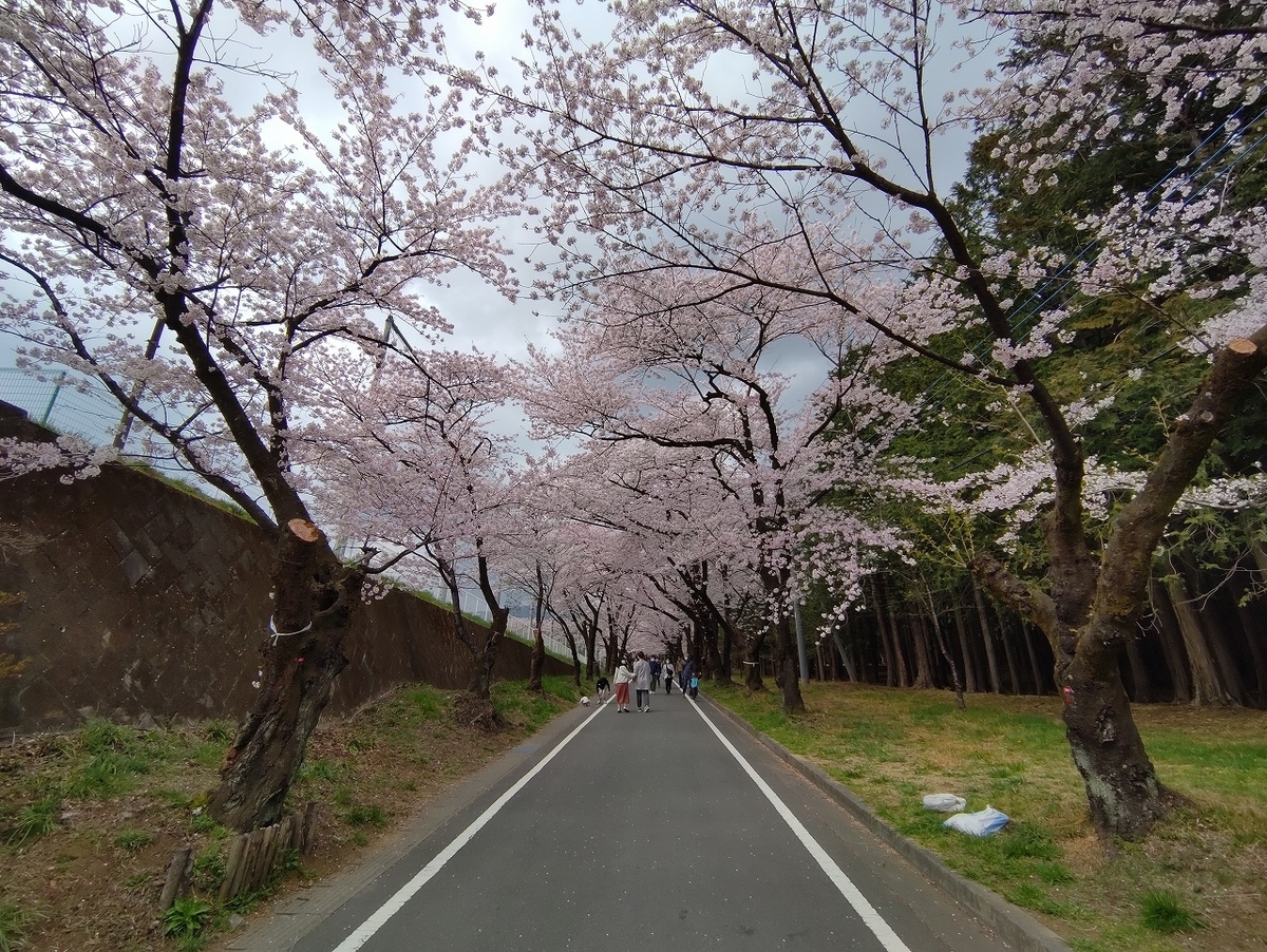 f:id:nekomitsudo:20210403235829j:plain