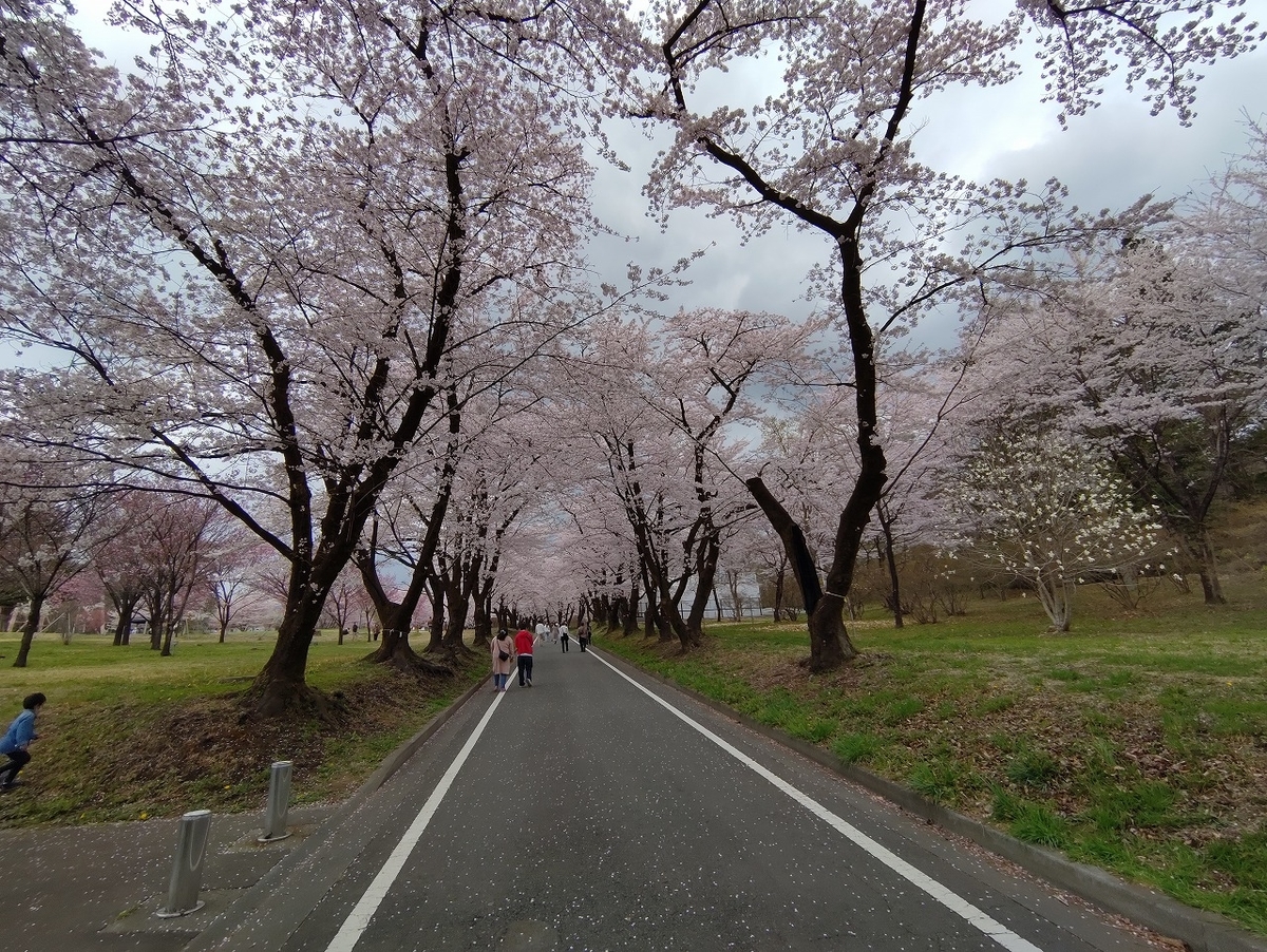 f:id:nekomitsudo:20210403235834j:plain