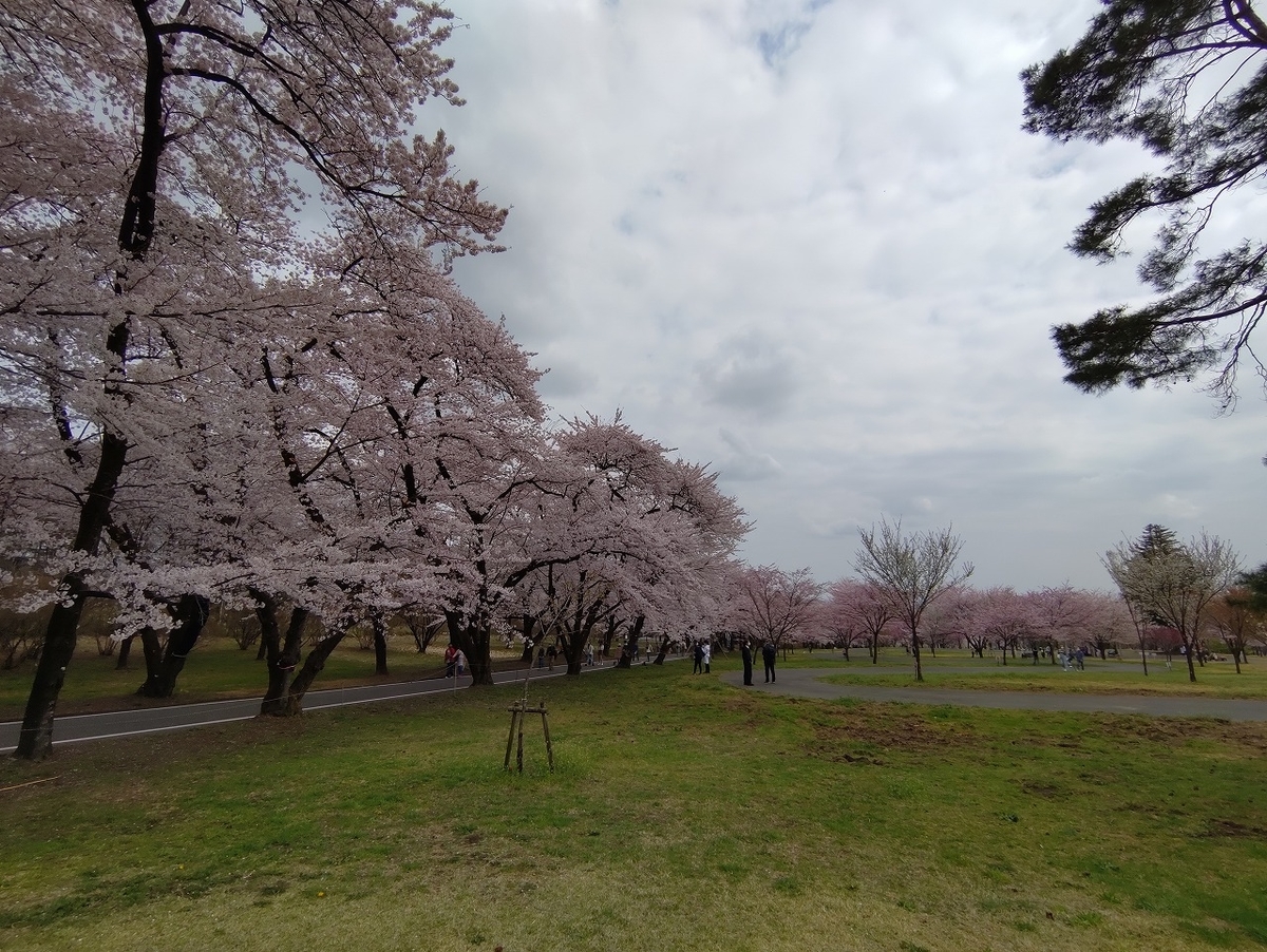 f:id:nekomitsudo:20210403235839j:plain