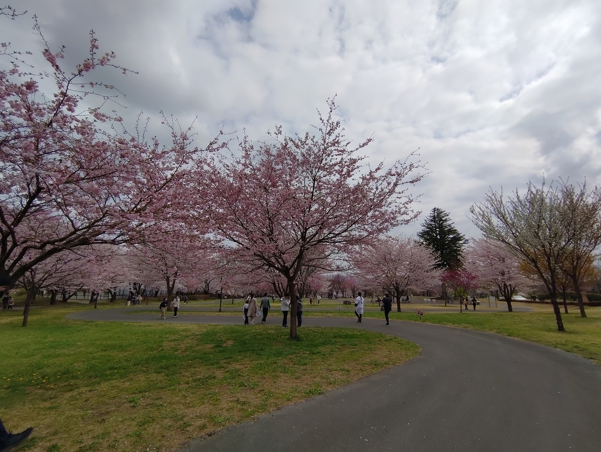 f:id:nekomitsudo:20210403235844j:plain
