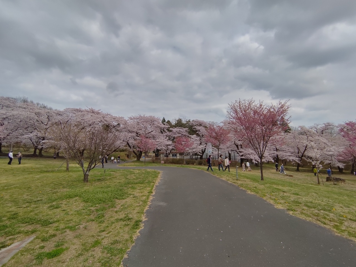 f:id:nekomitsudo:20210403235848j:plain