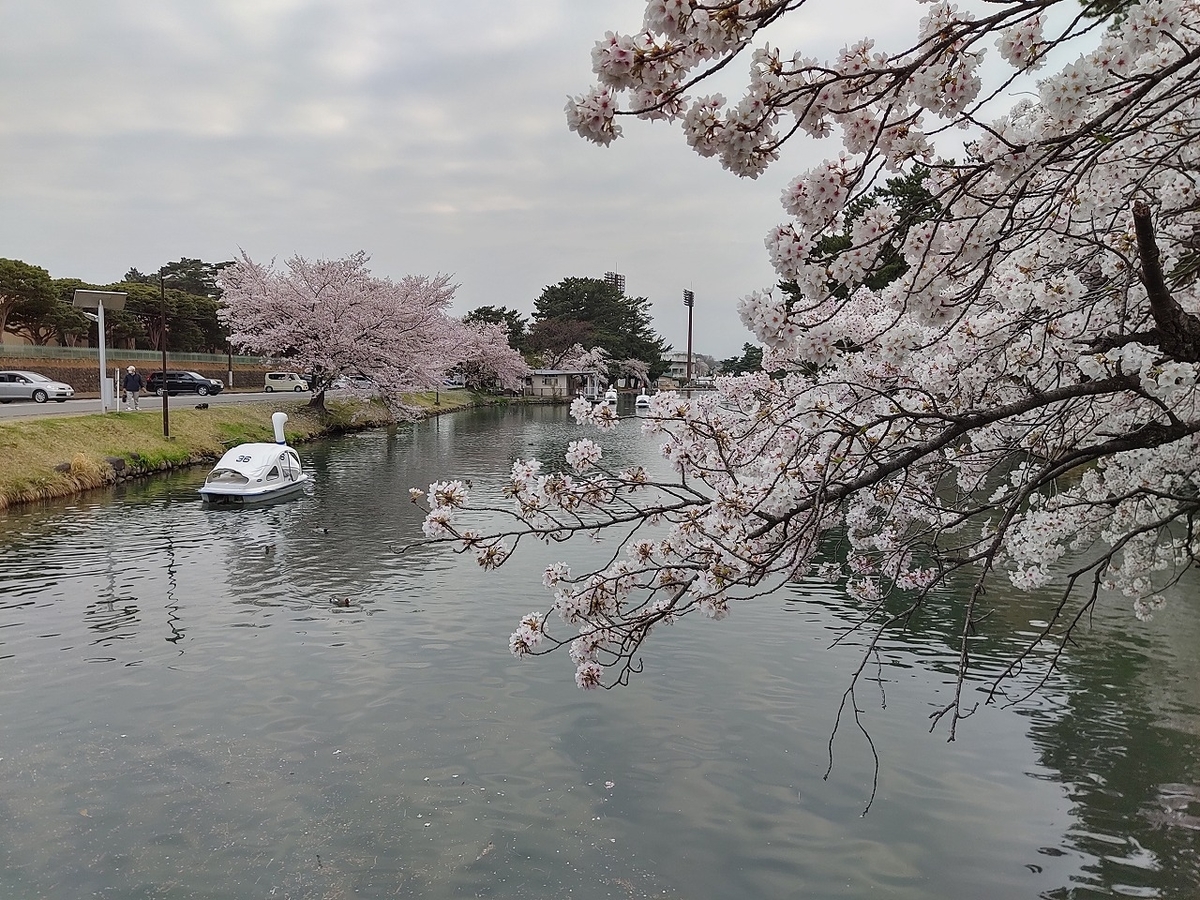 f:id:nekomitsudo:20210404000246j:plain