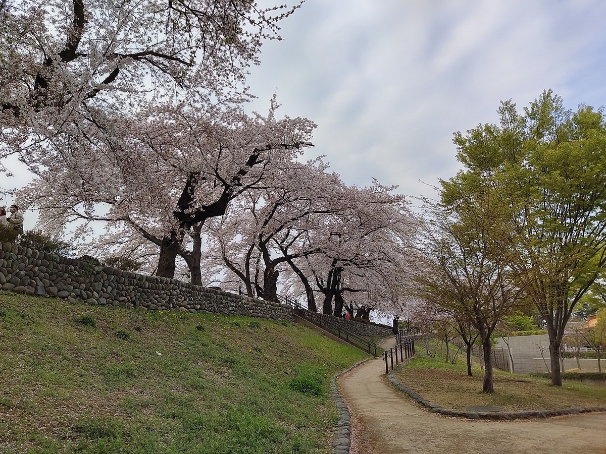 f:id:nekomitsudo:20210404000259j:plain