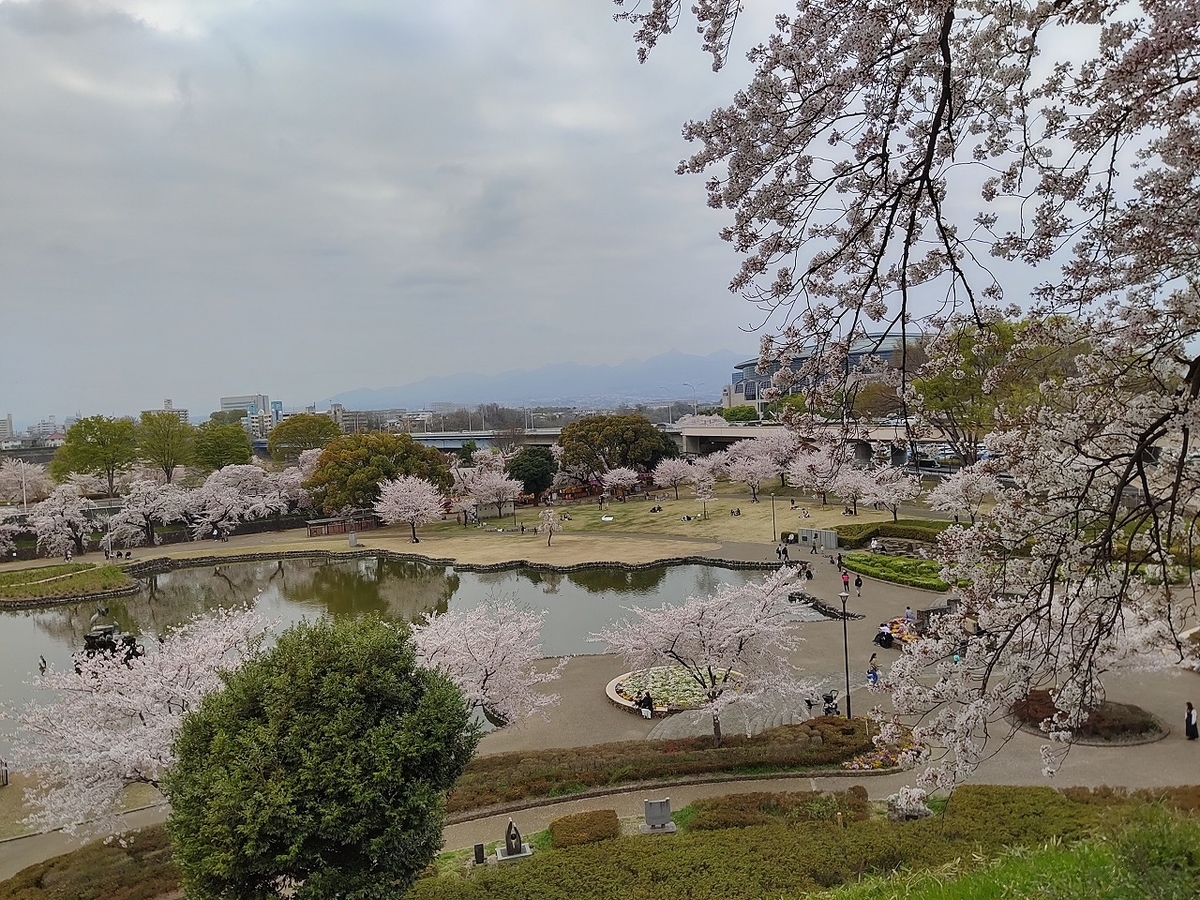 f:id:nekomitsudo:20210404000304j:plain