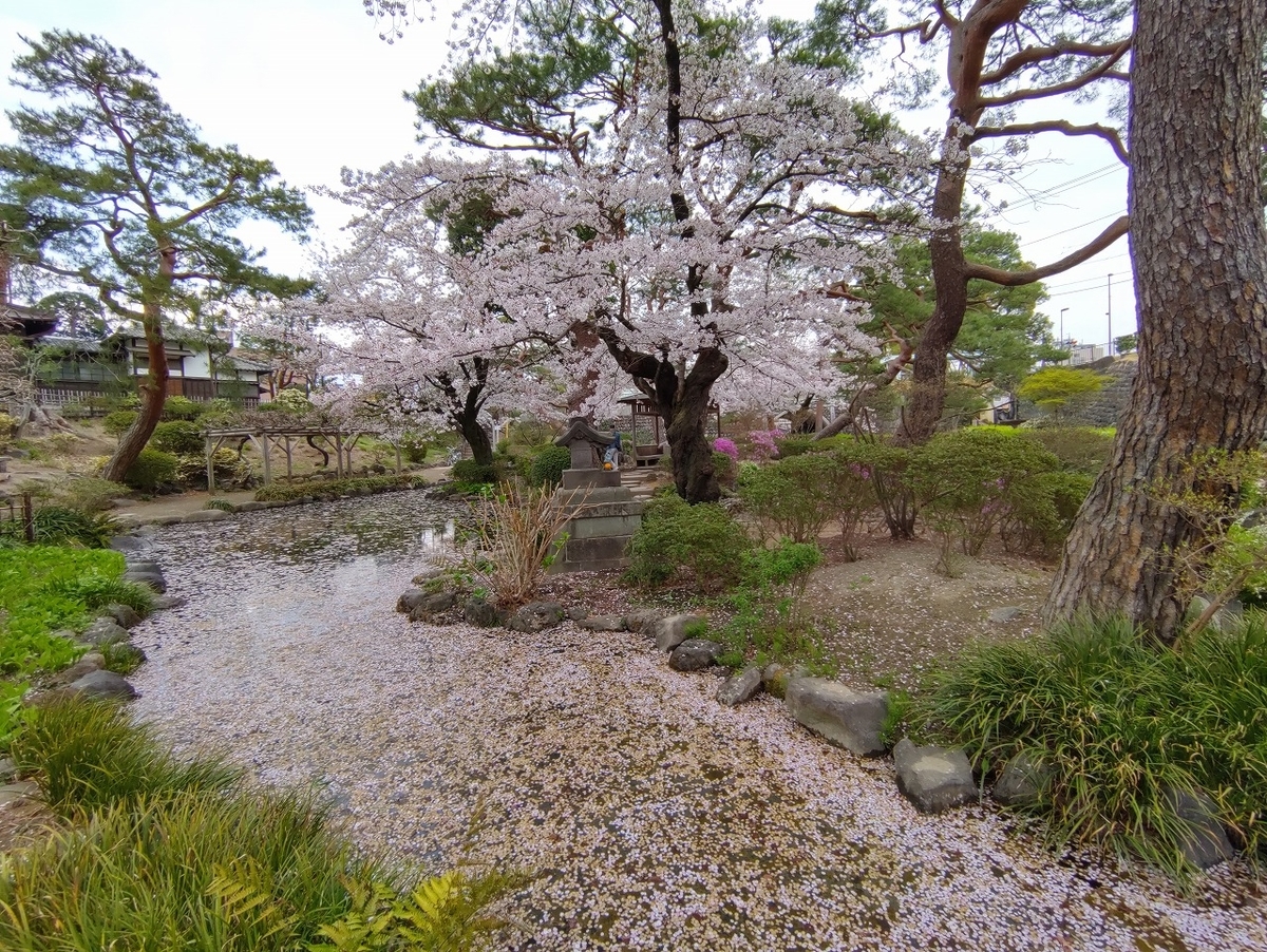 f:id:nekomitsudo:20210404000317j:plain