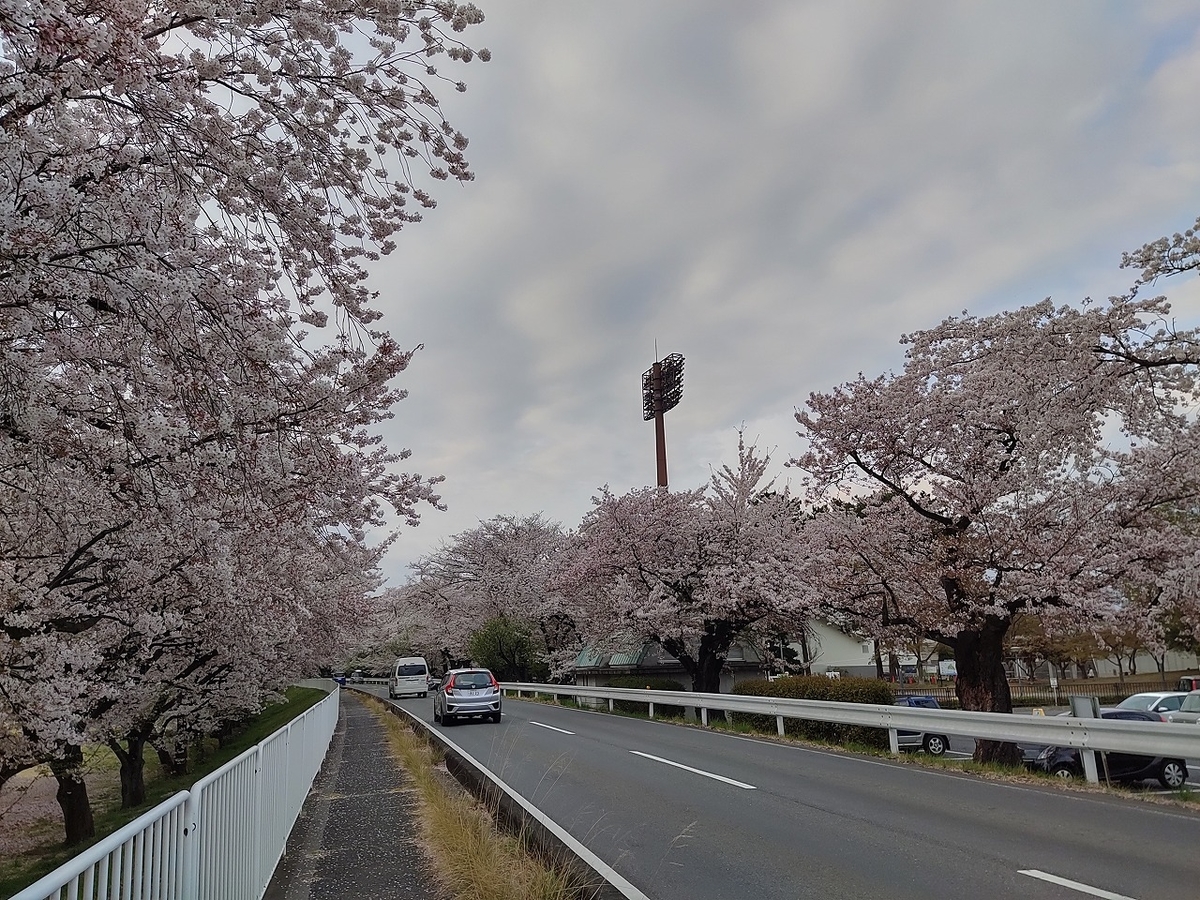 f:id:nekomitsudo:20210404000321j:plain