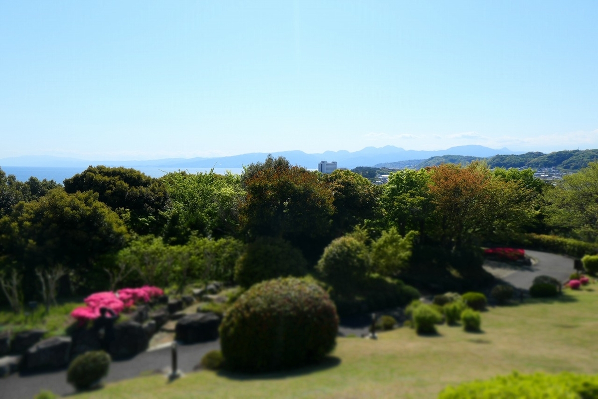 f:id:nekomitsudo:20210413215944j:plain
