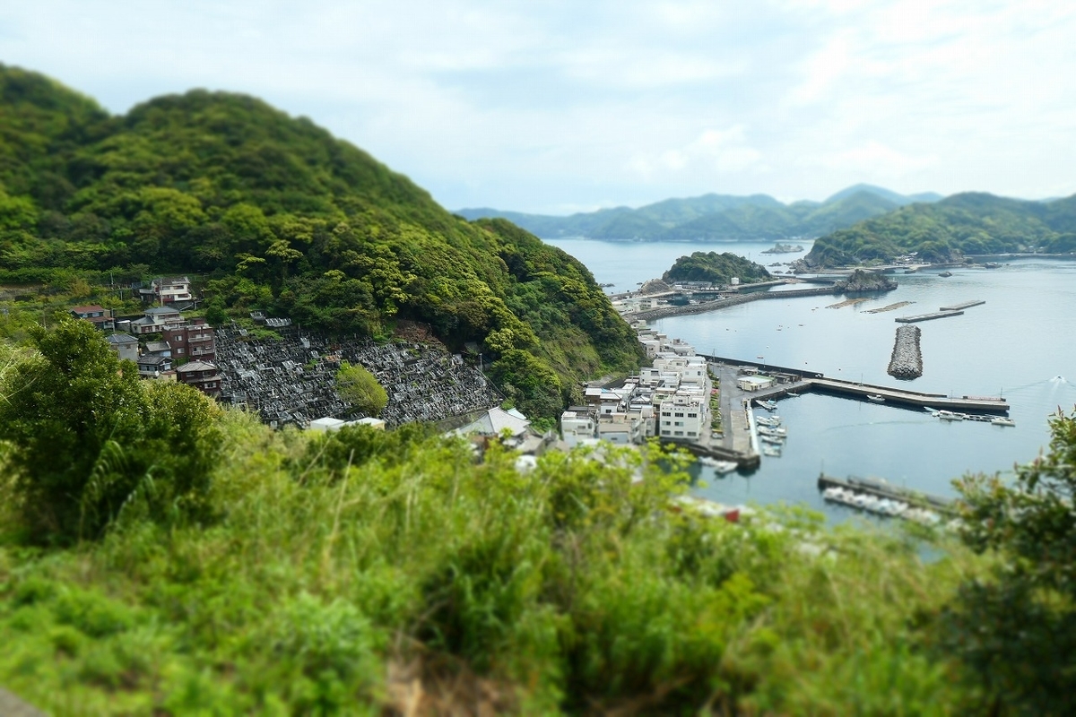f:id:nekomitsudo:20210429214201j:plain