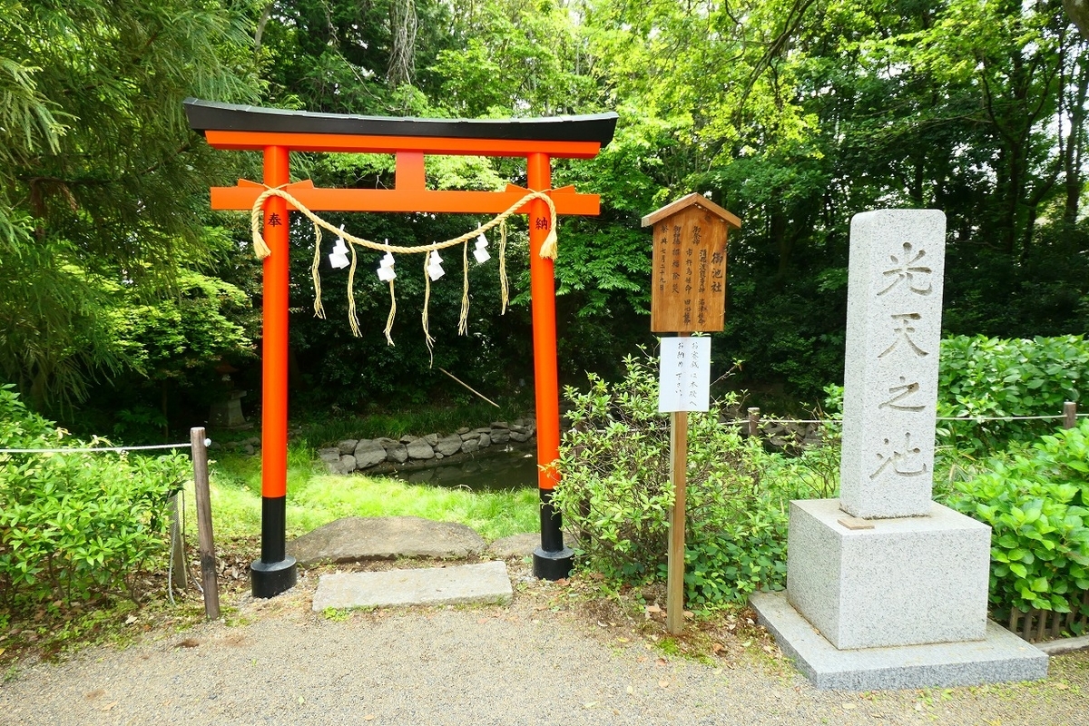 f:id:nekomitsudo:20210503214517j:plain