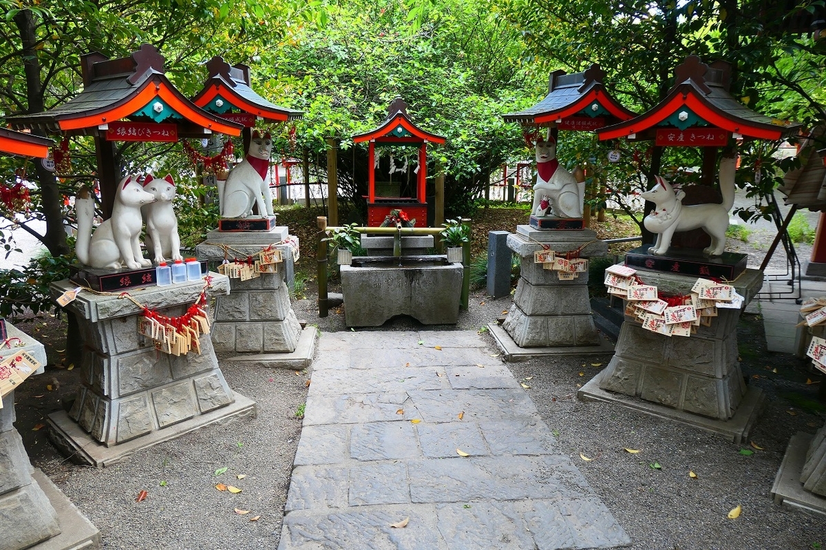 f:id:nekomitsudo:20210504225135j:plain