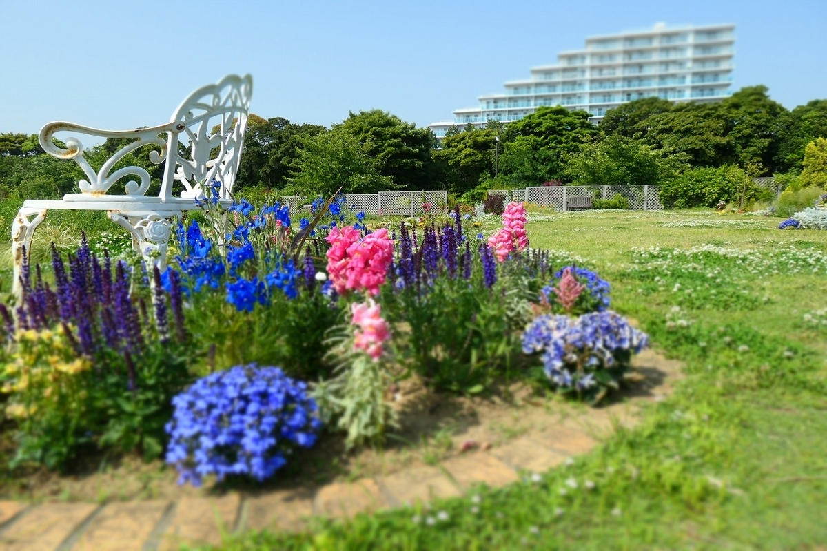 f:id:nekomitsudo:20210509231859j:plain