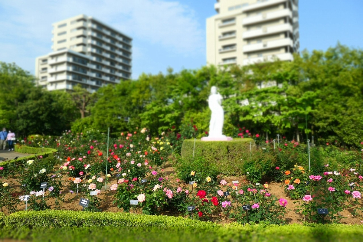 f:id:nekomitsudo:20210509232624j:plain