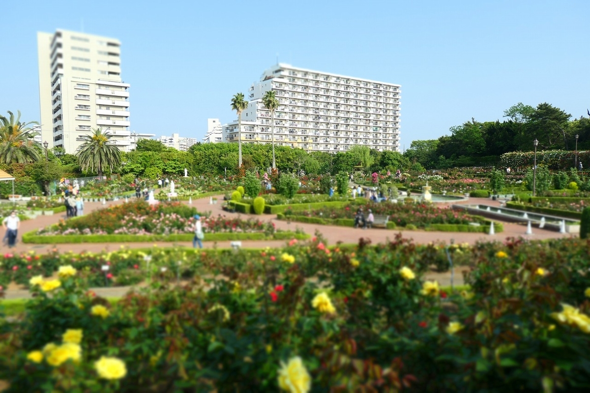 f:id:nekomitsudo:20210509232628j:plain