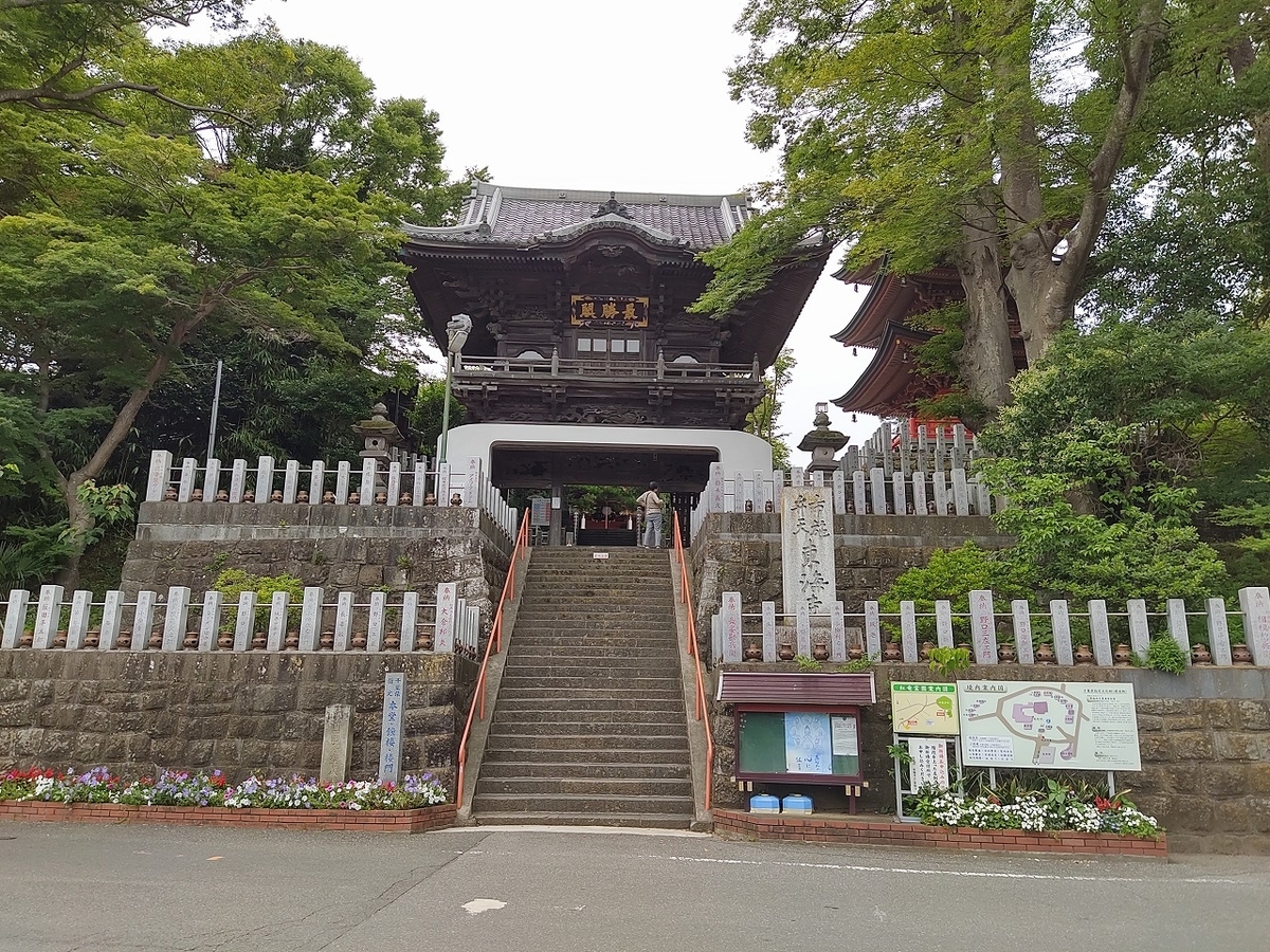 f:id:nekomitsudo:20210627155105j:plain