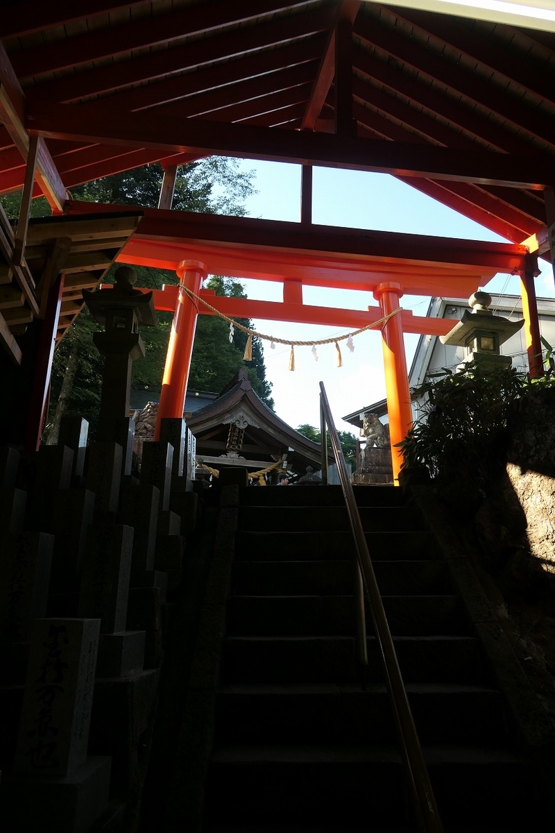 f:id:nekomitsudo:20210801163334j:plain