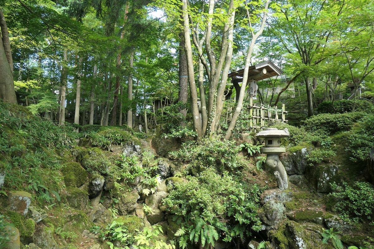f:id:nekomitsudo:20210801214340j:plain