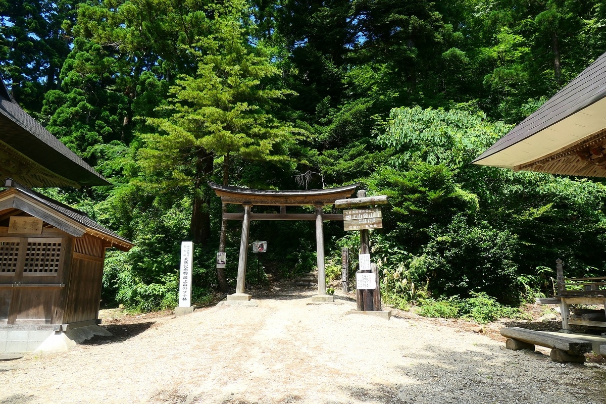 f:id:nekomitsudo:20210807102437j:plain