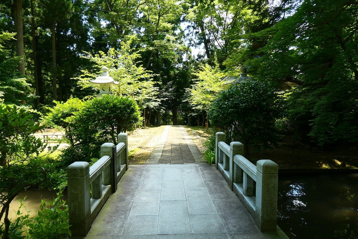 f:id:nekomitsudo:20210807102450j:plain