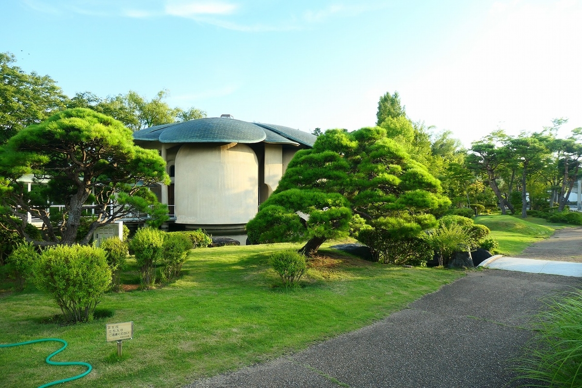 f:id:nekomitsudo:20210807152702j:plain