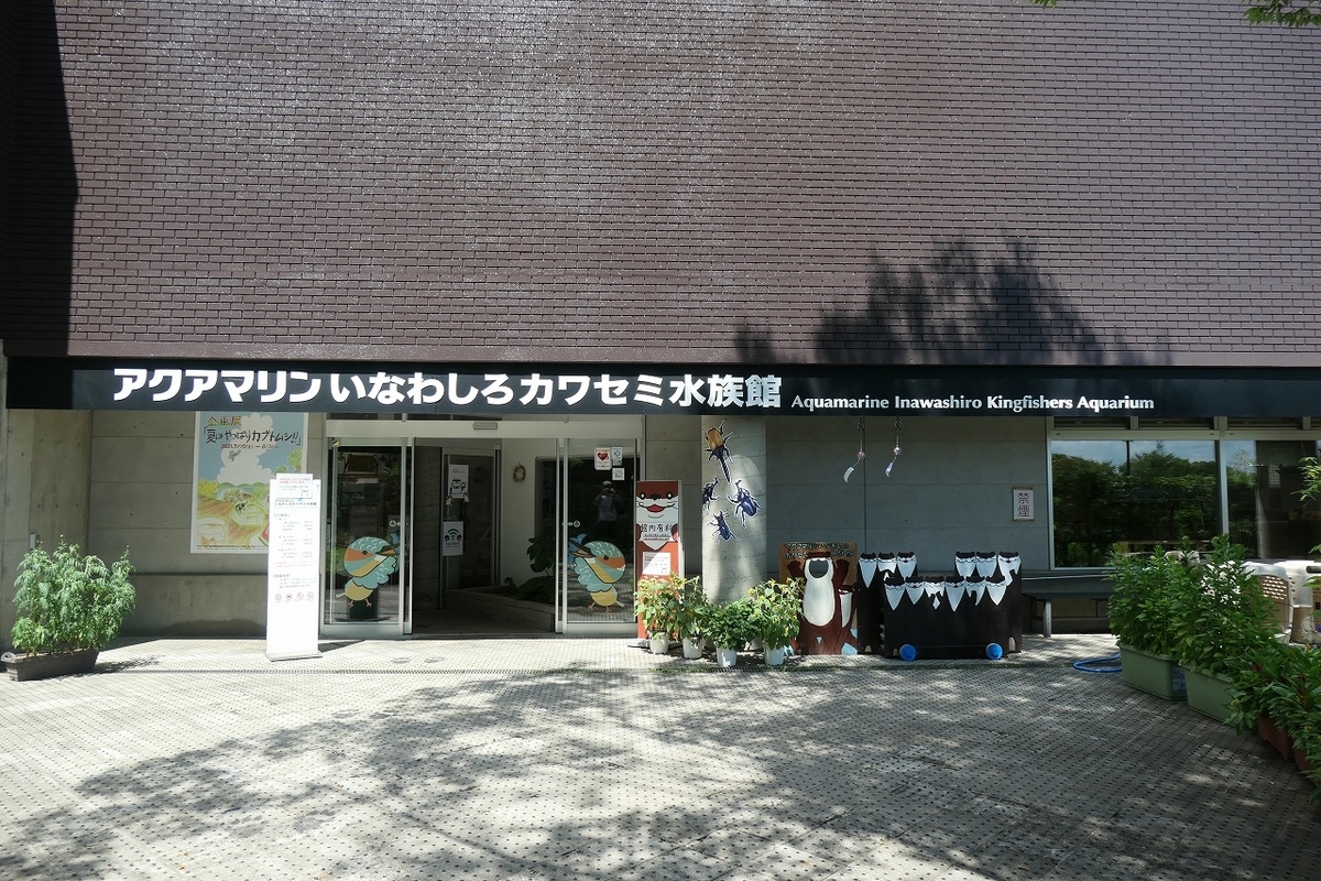 f:id:nekomitsudo:20210808223845j:plain