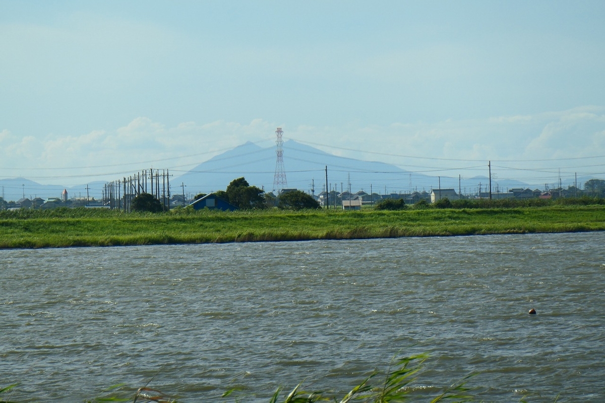f:id:nekomitsudo:20210820180846j:plain