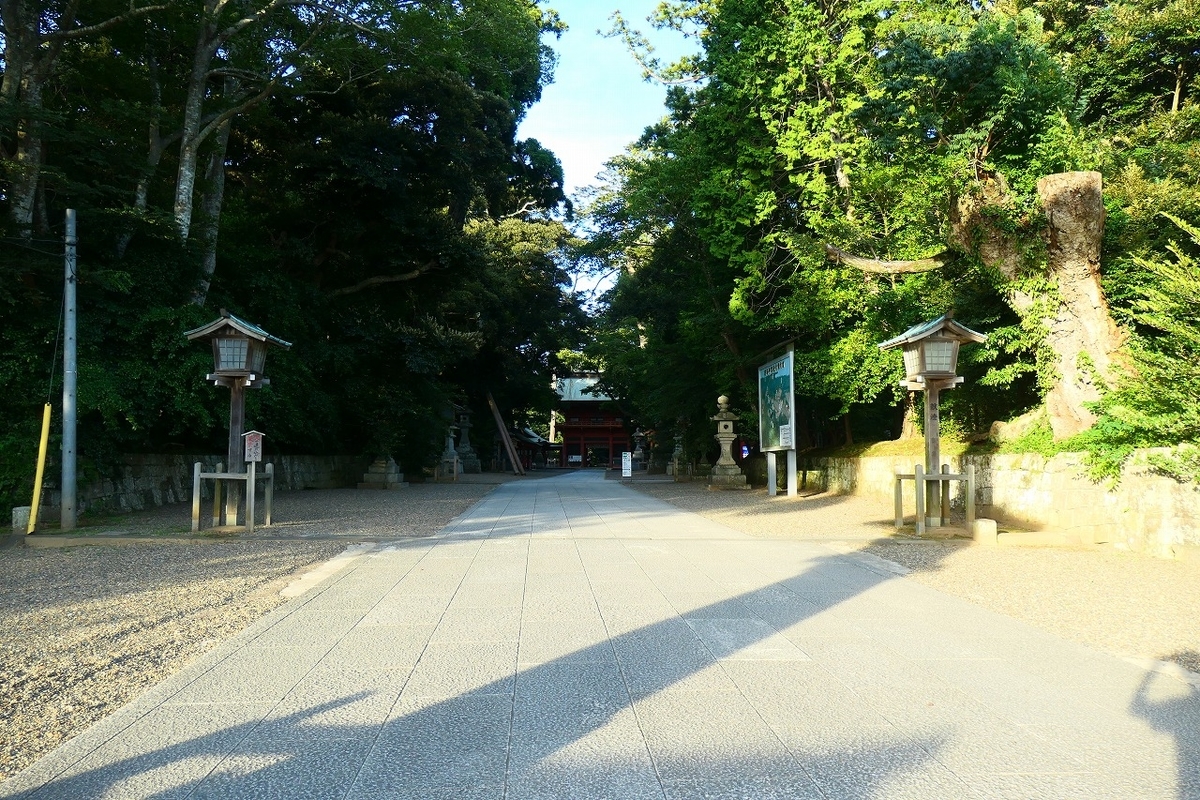 f:id:nekomitsudo:20210820181742j:plain
