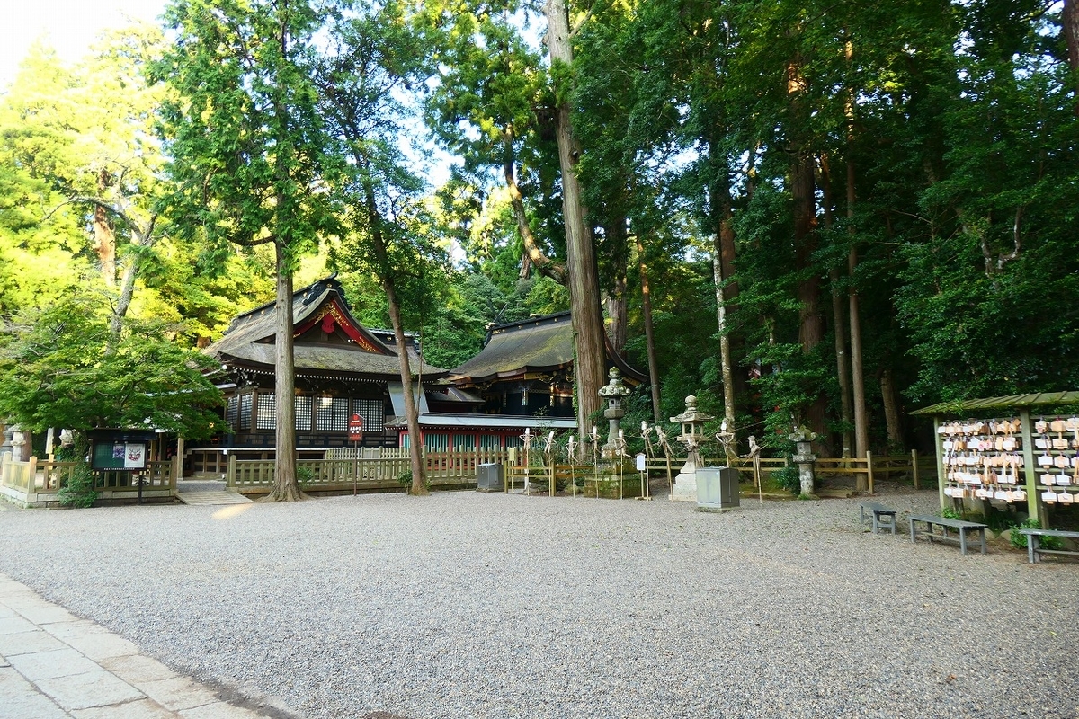 f:id:nekomitsudo:20210820181751j:plain