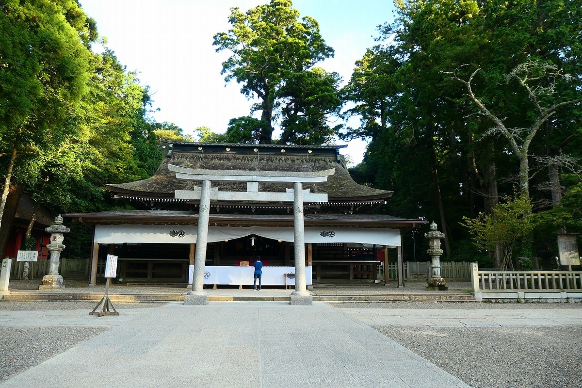 f:id:nekomitsudo:20210820181755j:plain