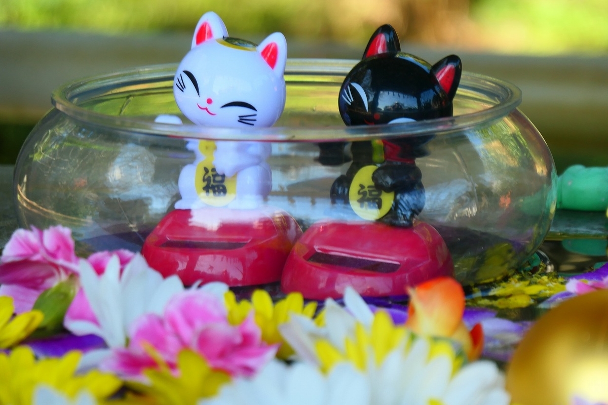 f:id:nekomitsudo:20211003144126j:plain