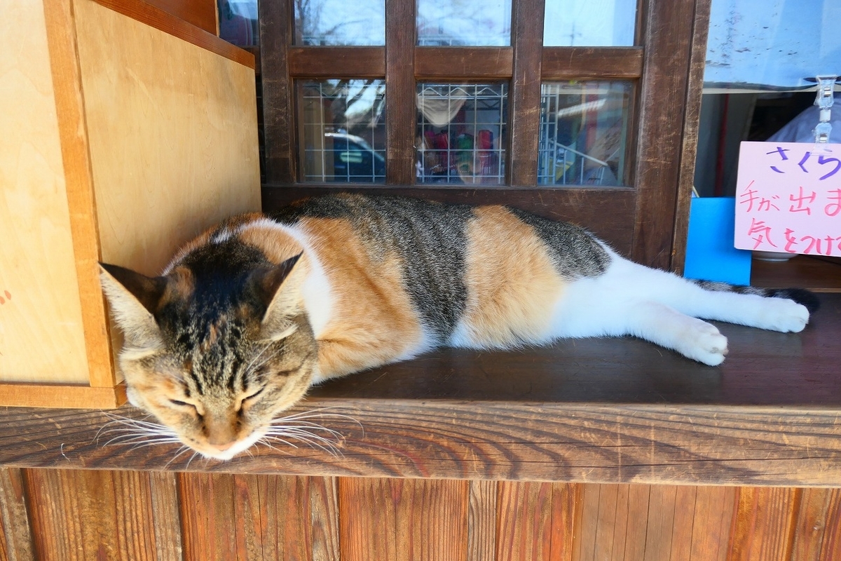 f:id:nekomitsudo:20211003144137j:plain