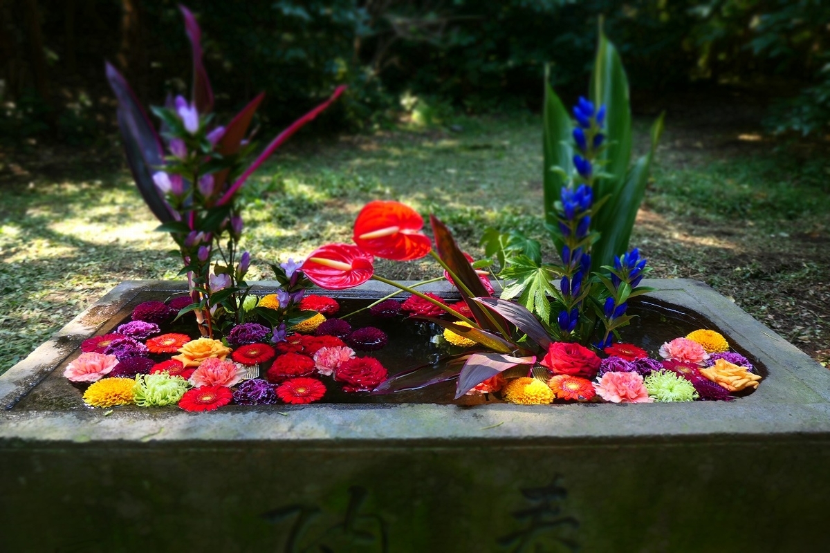 f:id:nekomitsudo:20211003144148j:plain