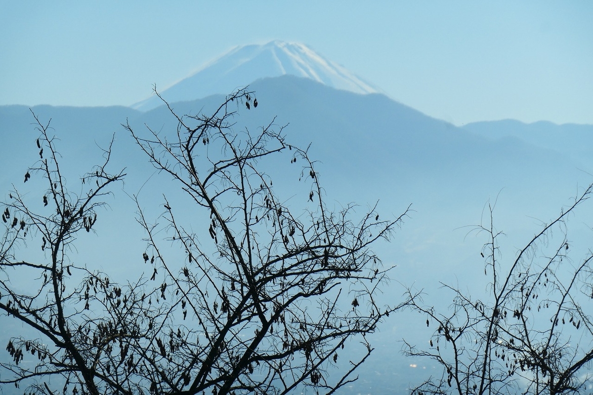 f:id:nekomitsudo:20211226224346j:plain