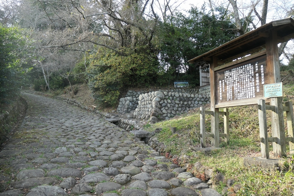 f:id:nekomitsudo:20220111205810j:plain