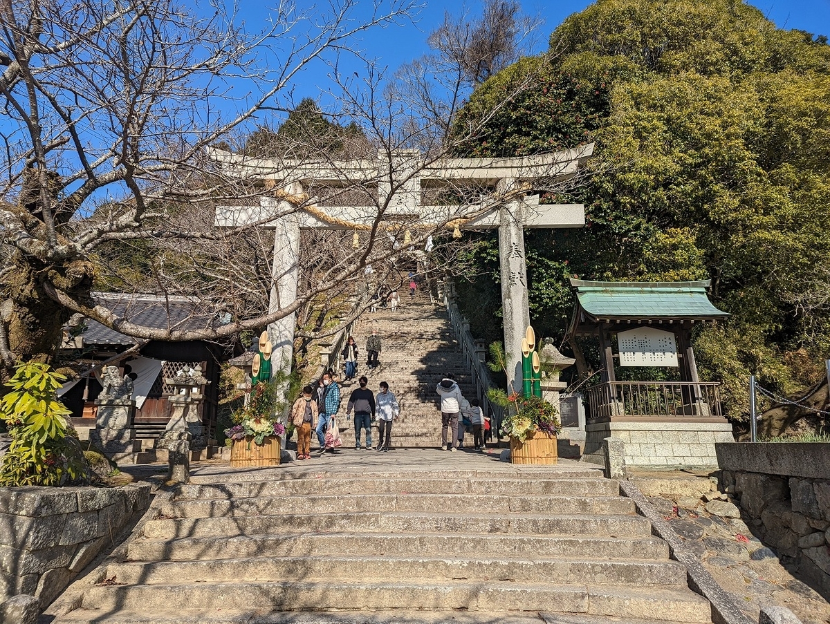 f:id:nekomitsudo:20220119133747j:plain