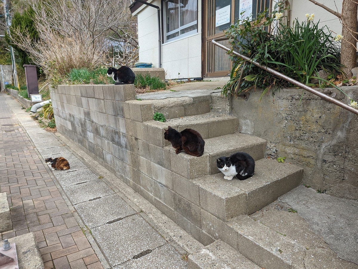 f:id:nekomitsudo:20220201233517j:plain