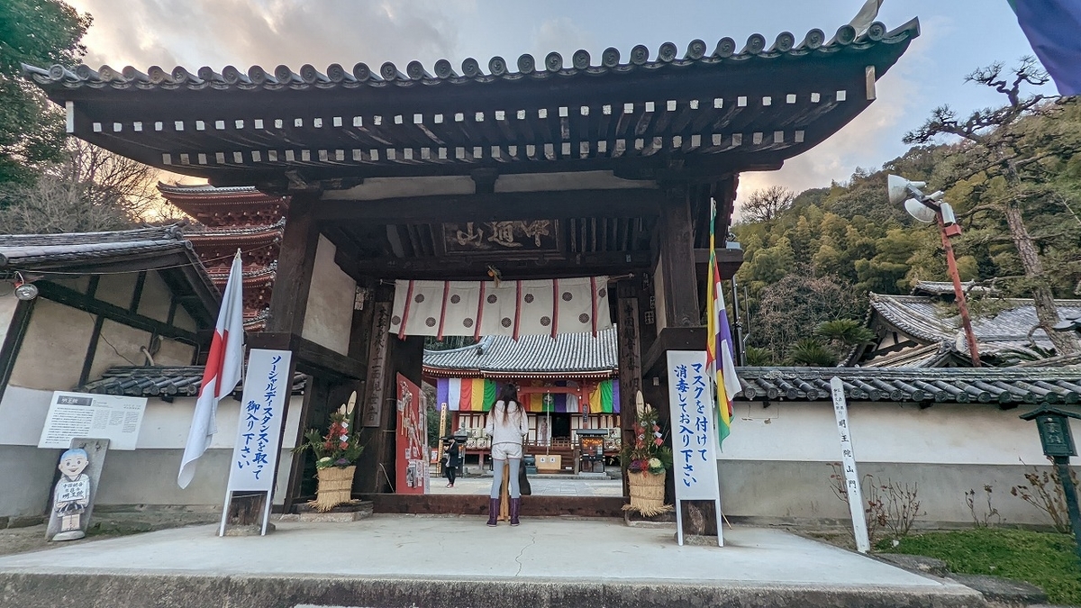 f:id:nekomitsudo:20220203230348j:plain