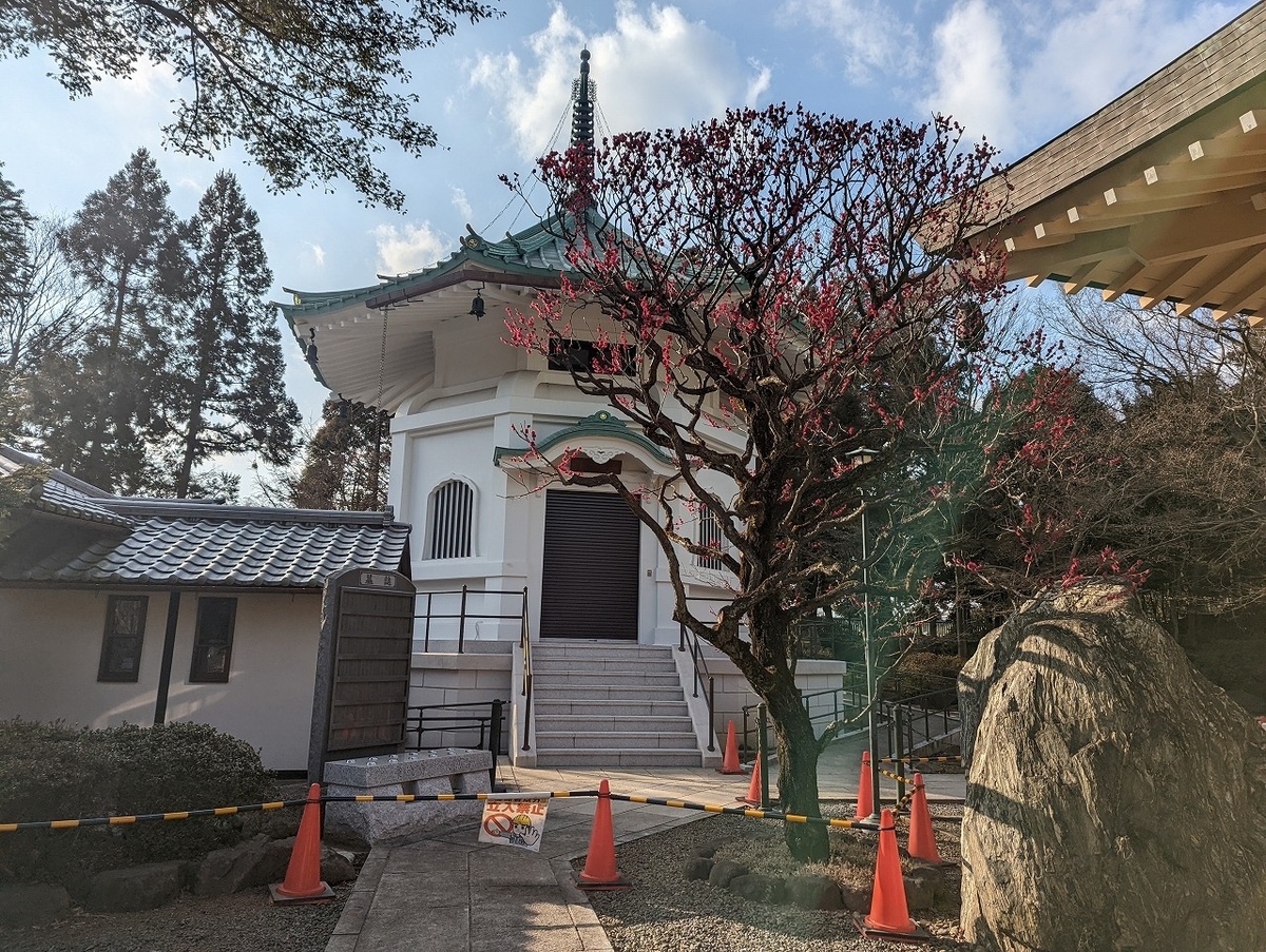 f:id:nekomitsudo:20220312134152j:plain