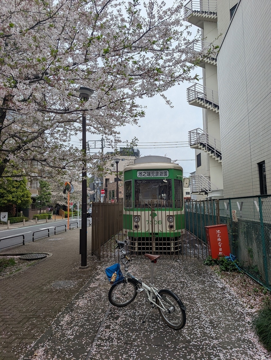 桜 東京 自転車 サイクリング 折りたたみ自転車 - ミニベロに乗ってい
