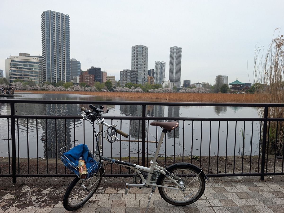 桜 東京 自転車 サイクリング 折りたたみ自転車 - ミニベロに乗ってい