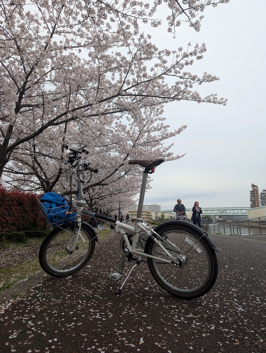 桜 東京 自転車 サイクリング 折りたたみ自転車 - ミニベロに乗ってい